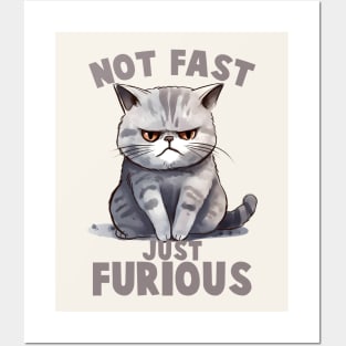 Not Fast, Just Furious Funny Cat Posters and Art